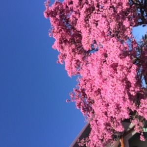 Meet your Posher, Brittney